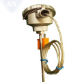 Armored Thermocouple With Compensation Wire